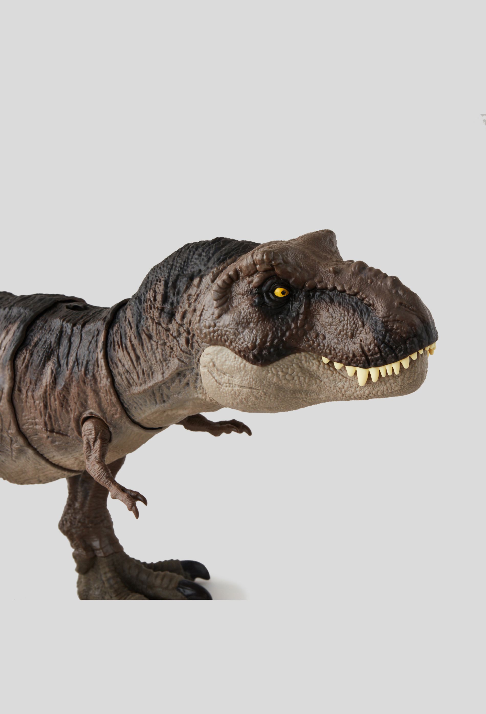 Chausson Dinosaure Morsure T-Rex