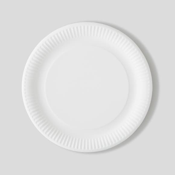 12 assiettes en carton, blanc, 29cm