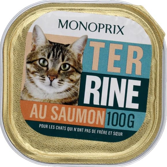 Terrine au saumon pour chat